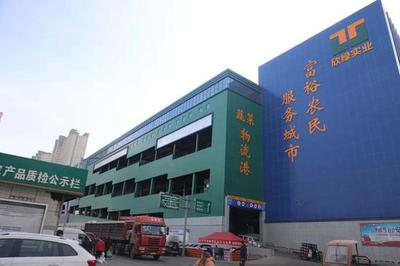 碑林區(qū)工廠食材配送單位 新鮮水果直達(dá)，守護(hù)生產(chǎn)效率
